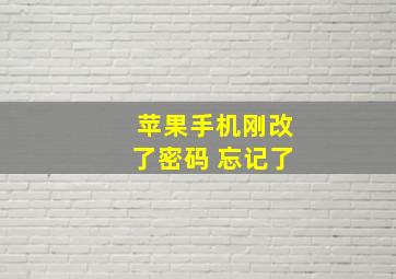 苹果手机刚改了密码 忘记了